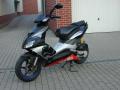 Aprilia dekor /  (2010-01-01)