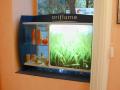 Oriflame / Oriflame kirakat dekor�ci�, vil�g�t� rekl�mt�bla b�torlapdobozzal II. (2010-01-01)